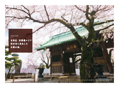 ディアナコート目黒祐天寺
