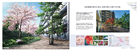 アデニウム板橋浮間公園